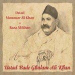 Raza Ali Khan Songs MP3 Download